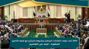 2025 تحدد موعد انتخابات البرلمان وشروط الترشح مع قيمة التأمين المطلوبة – تعرف على التفاصيل